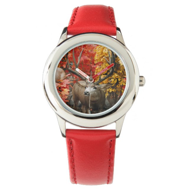Montre Whitetail En Automne (devant)