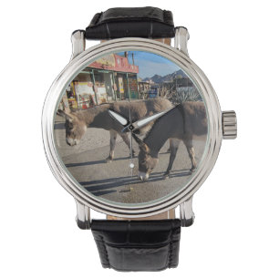 Montre Wild Burros à Oatman, Arizona