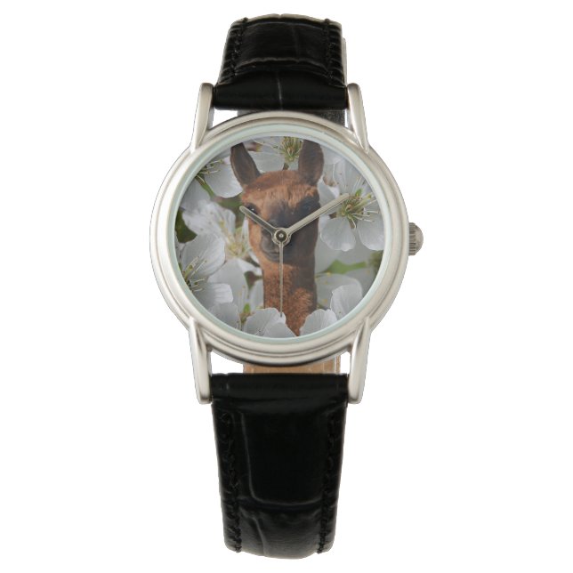 Montre Wooly Brown Young Alpaca, (devant)