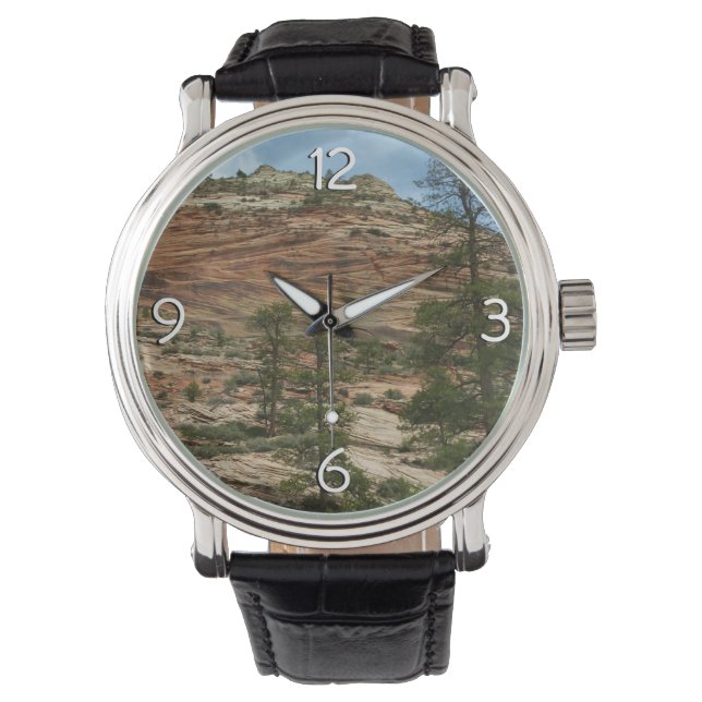 Montre Worn Rock Walls dans le Parc national de Sion (devant)