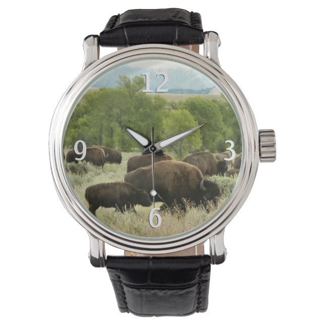 Montre Wyoming Bison Nature Animal Photographie (devant)