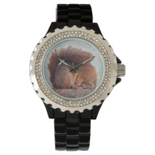 Montre Yoga Squirrel Watch