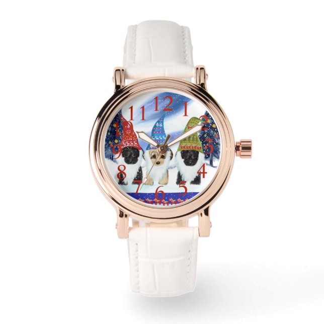 MONTRE YORKIE POO (Recto)