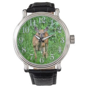 Montre Young Deer Doe and Green Grasses Wildlife watch