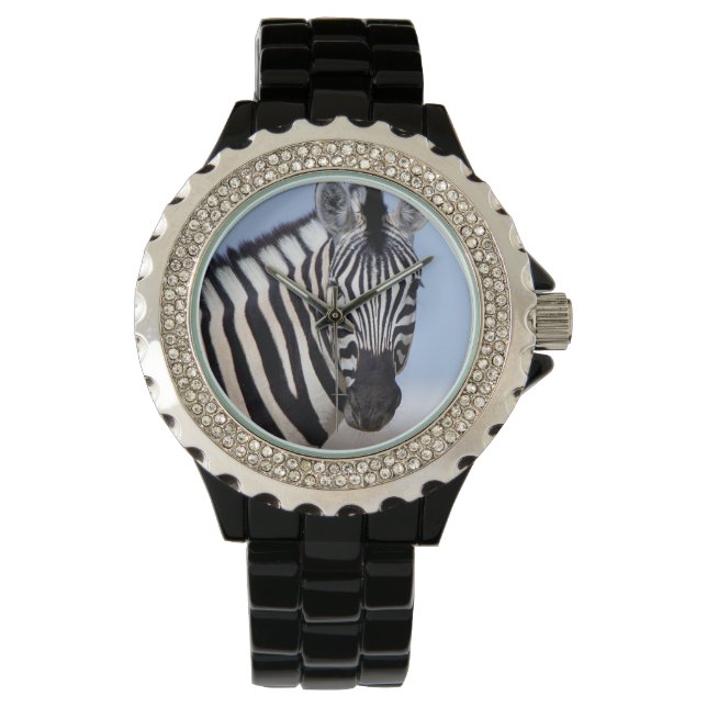 Montre Zebra looking at you (devant)