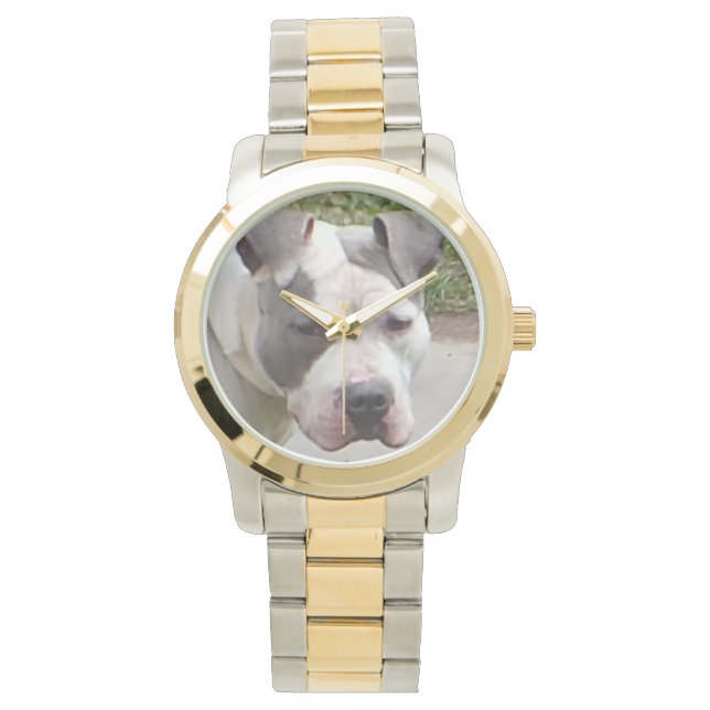 Montres à puces (devant)