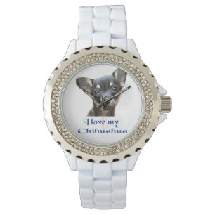 Montres Chihuahua