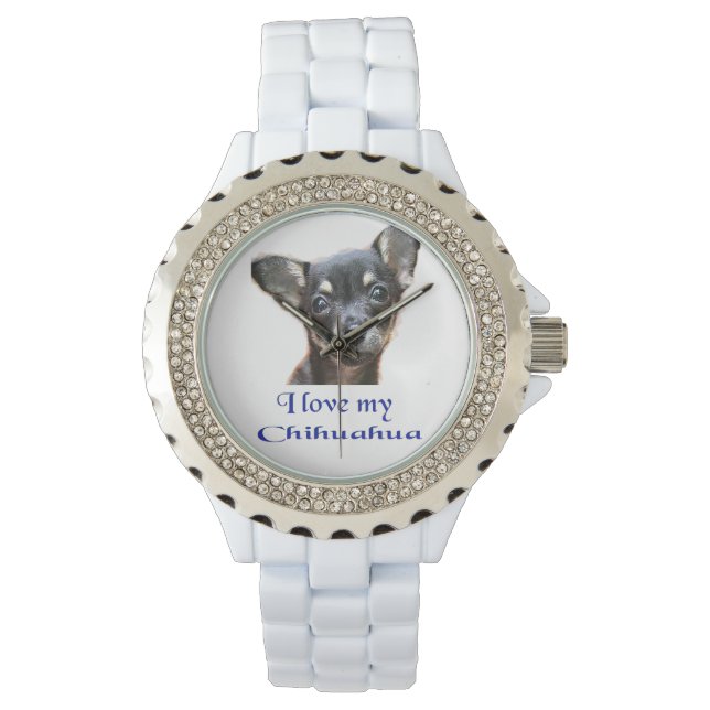 Montres Chihuahua (devant)