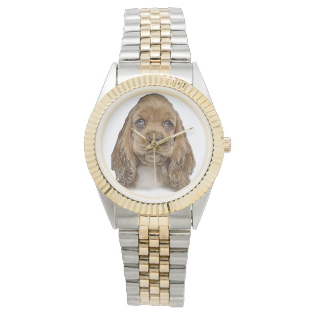 Montres de chiot spaniel Cocker (devant)