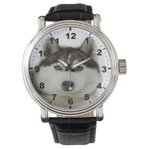 Montres de cool, d'amusement, géniales et