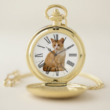 ARRIÈRE - PLAN VARIABLE COLOR-CAT