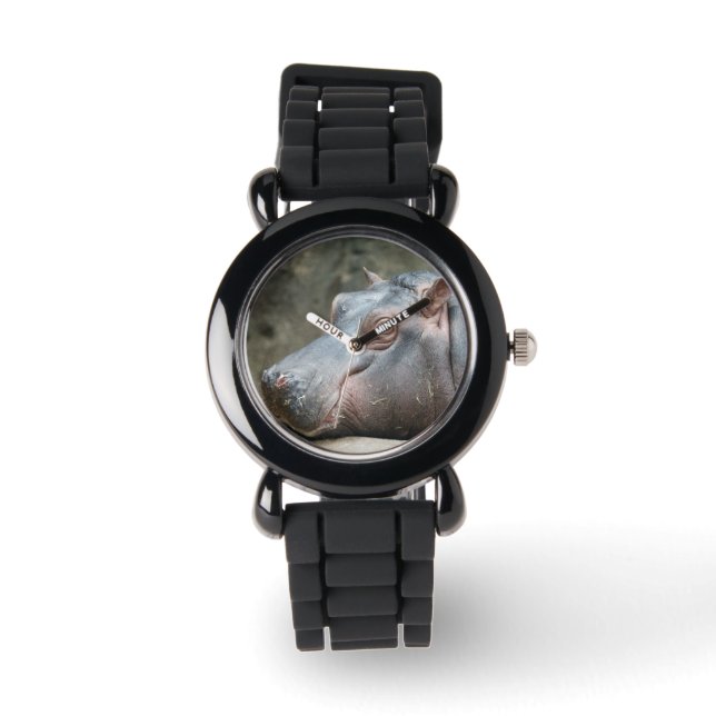 Montres Hippopotamus (Recto)