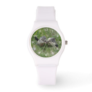 Montres Marmottes