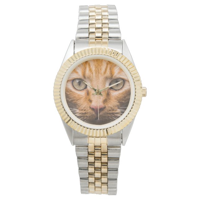 Montres Staring Cat (devant)