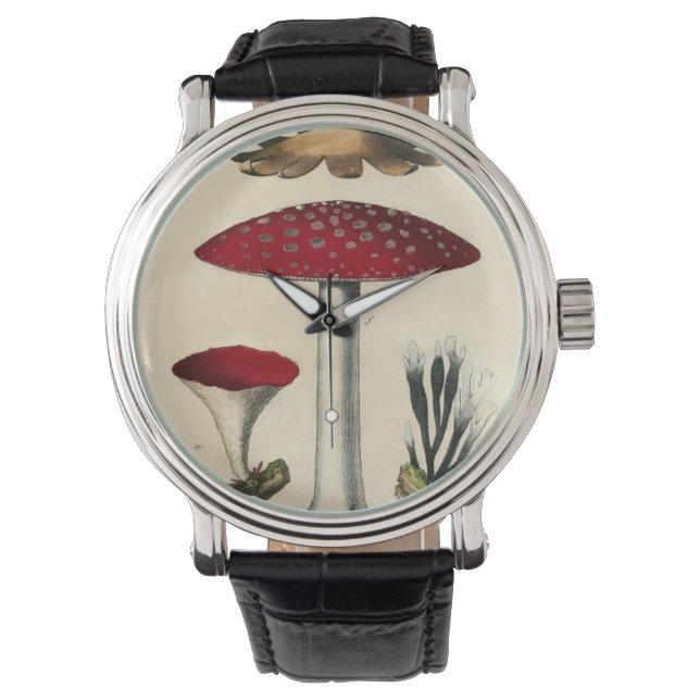 Montres vintages de champignons de champignons (devant)