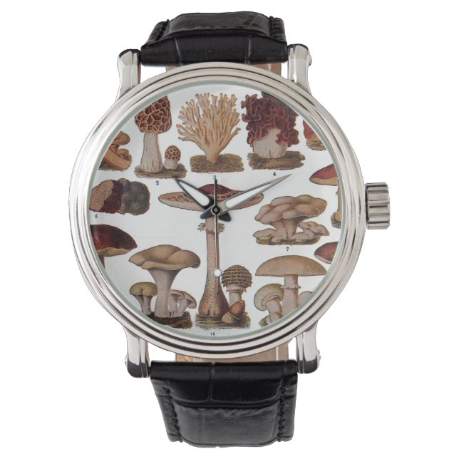Montres vintages de la famille des champignons (devant)