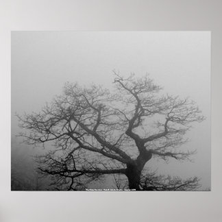Monts POSTER Blue Ridge -