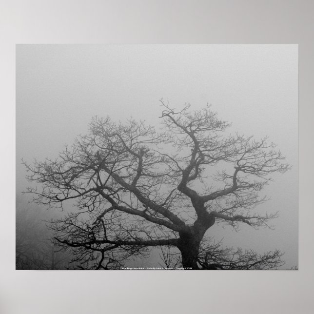 Monts POSTER Blue Ridge - (Devant)