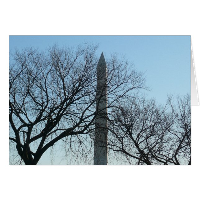 Monument de Washington dans le paysage d'hiver I (Devant horizontal)