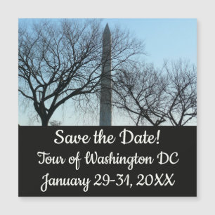Monument de Washington dans le paysage d'hiver I