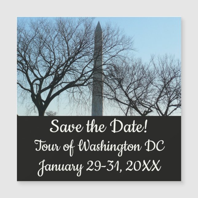 Monument de Washington dans le paysage d'hiver I (Devant)