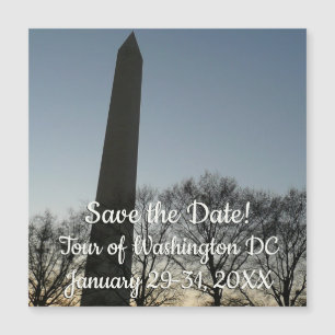 Monument de Washington dans le paysage d'hiver II