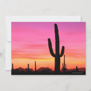 Monument national du tuyau d'orgue