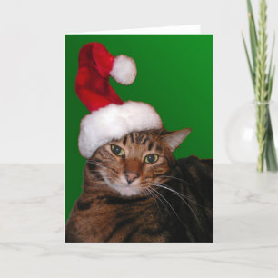 Mooki Père Noël - carte vierge