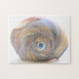 Moon Snail Shell Jigsaw Puzzle