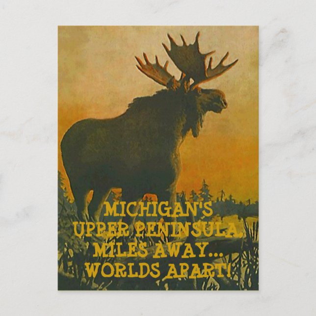 MOOSE AT SUNSET ~ UPPER PENINSULA VOYAGE CARTE POS (Devant)