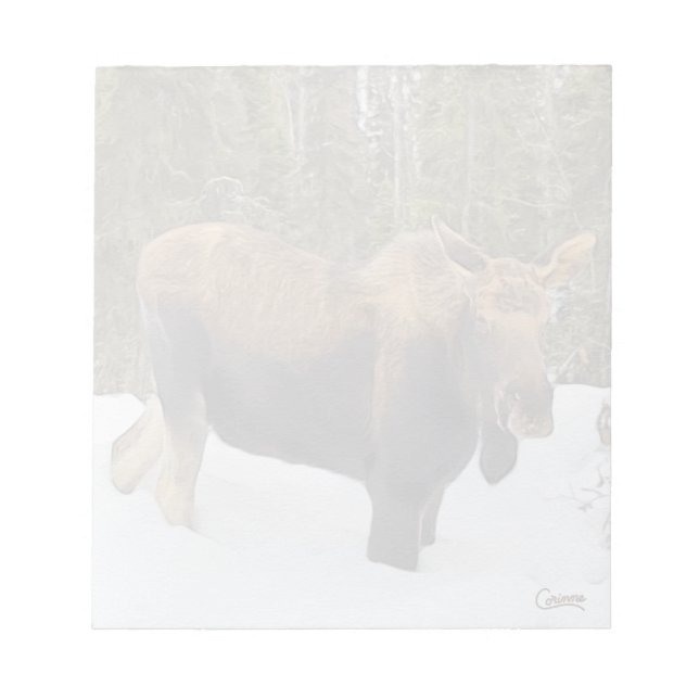 Moose - Bloc-notes de 5,5 po x 6 po (Devant)