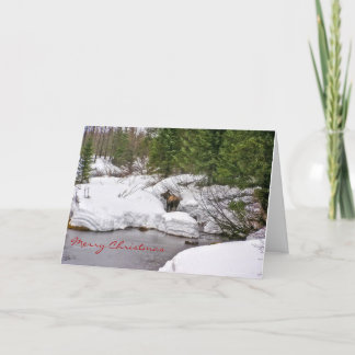 Moose dans la carte de voeux de neige