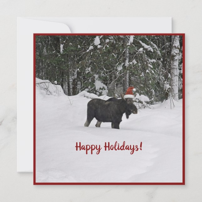 Moose dans un chapeau de Santa Casa carte de vacan (Devant)