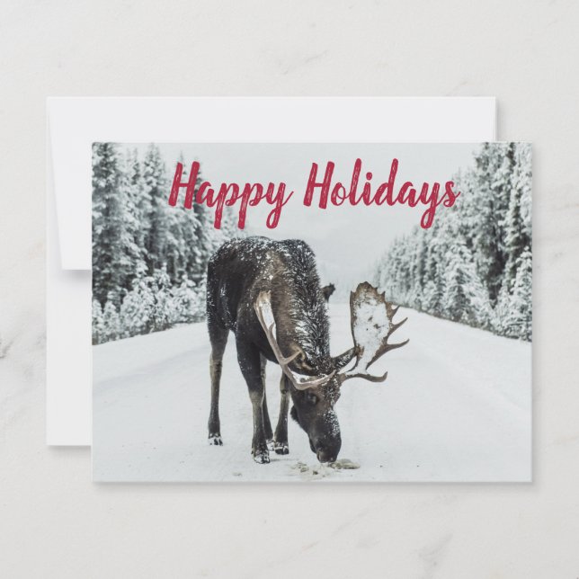 Moose En Hiver Guide Wilderness De Neige Carte De  (Devant)