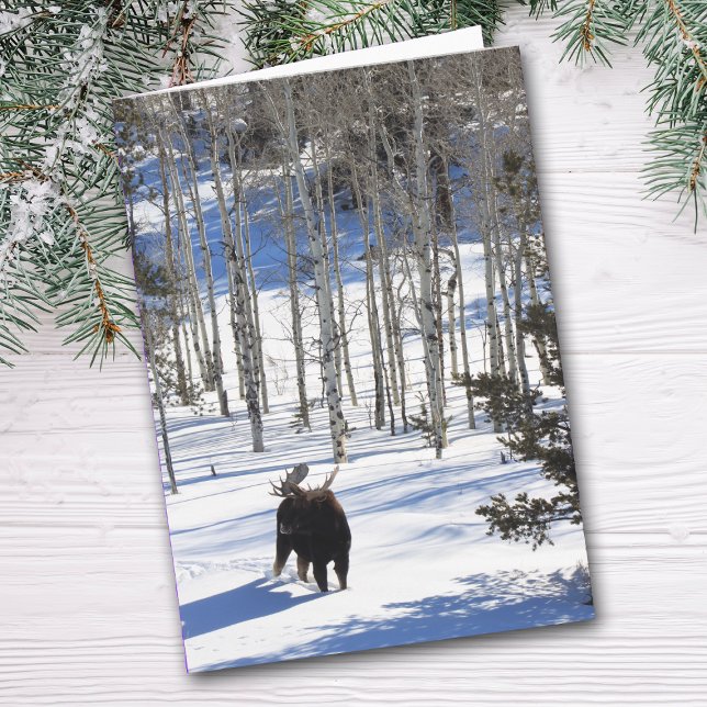 Moose en hiver Toutes les occasions Carte de voeux (Créateur téléchargé)