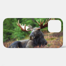 Moose iPhone 12 Coque