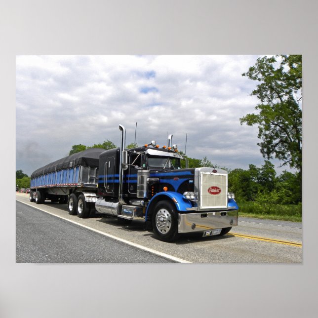 Moose Peterbilt 359 Poster (Devant)