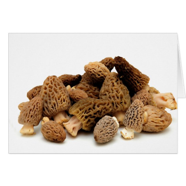 Morel Mushroom (Devant horizontal)