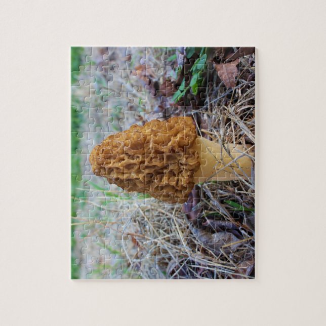 MOREL MUSHROOM Puzzle (Vertical)