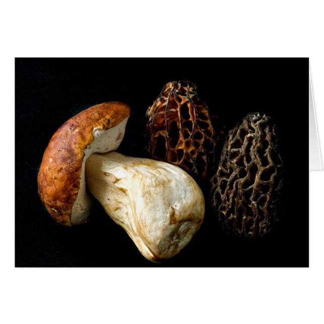 Morels et le roi Bolete (Devant Horizontal)