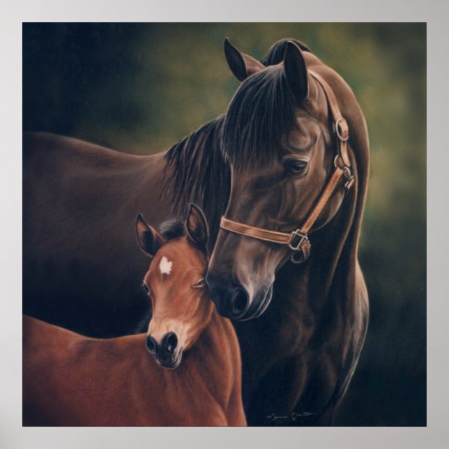 Morgan Mare et Foal par Lynn Peterson Poster (Devant)