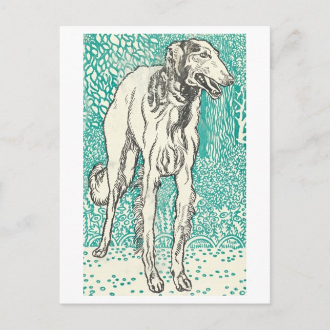 Moriz Jung Greyhound Imprimer carte postale (Devant)