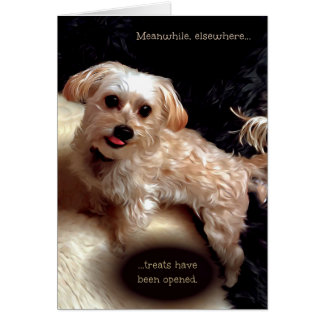 Morkie Chien mignon drôle Mème chiot carte d'anniv