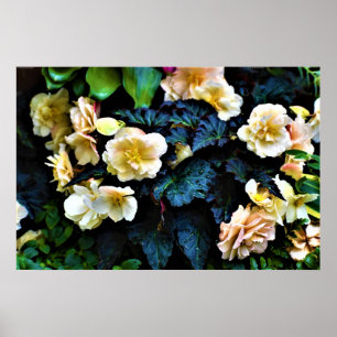 Morning Dew, affiche