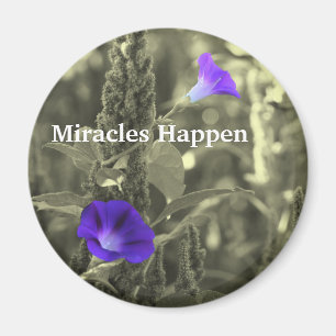 Morning Glories Miracles Happen Magnet