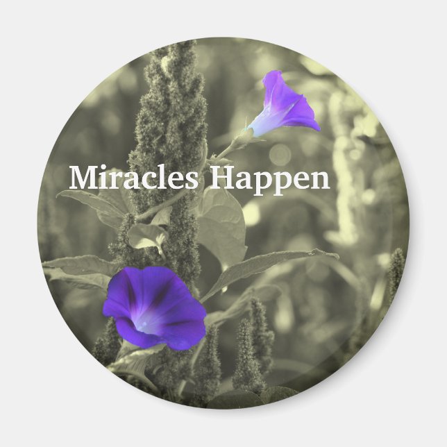 Morning Glories Miracles Happen Magnet (Devant)