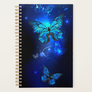 Morpho Butterfly in the Dark Background