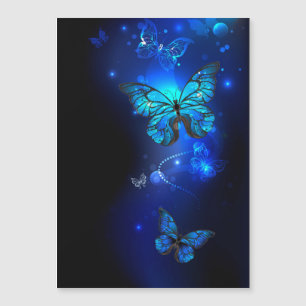 Morpho Butterfly in the Dark Background