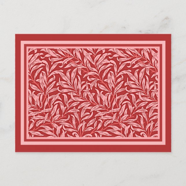 Morris - Bouton de saule dans une carte postale ma (Devant)