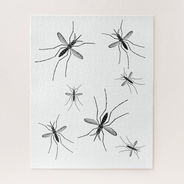Mosquito Puzzle Arrière - plan blanc (Vertical)